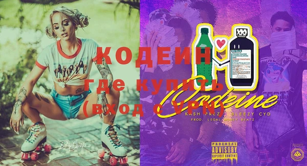 ГАЛЛЮЦИНОГЕННЫЕ ГРИБЫ Аркадак