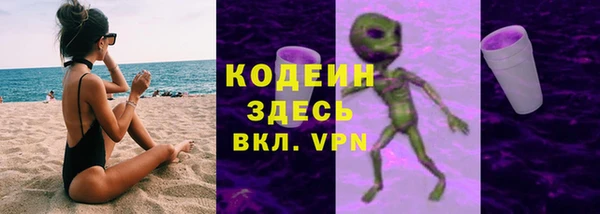 ГАЛЛЮЦИНОГЕННЫЕ ГРИБЫ Аркадак