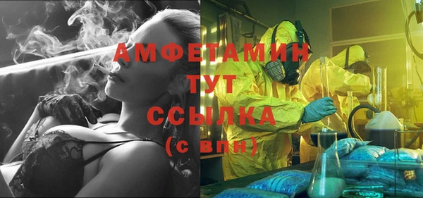 ГАЛЛЮЦИНОГЕННЫЕ ГРИБЫ Аркадак