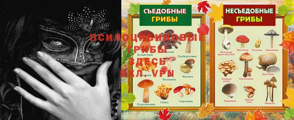 гашиш Арсеньев