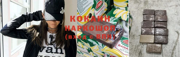 хмурый Алзамай